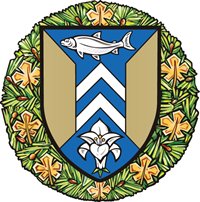 City Shield