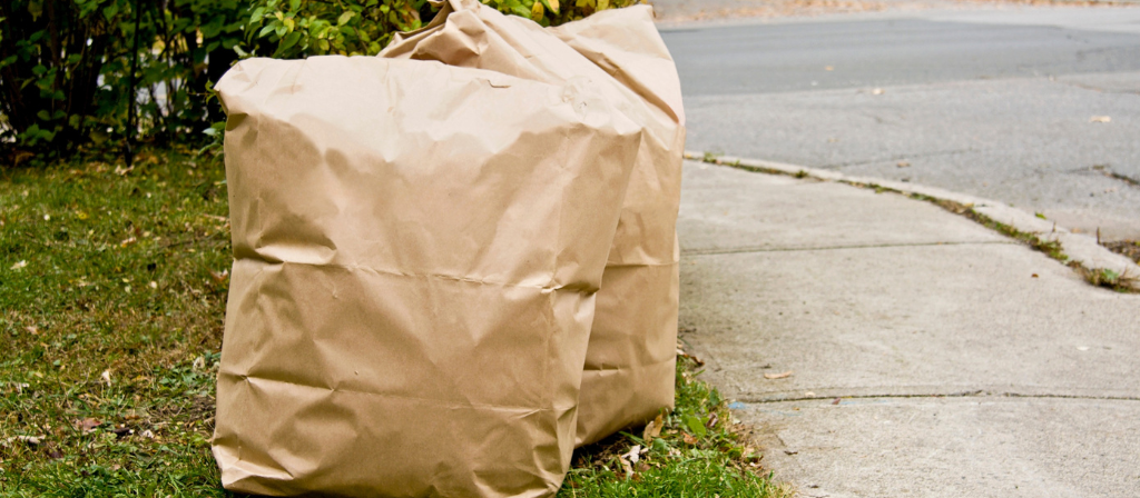 Photo of leaf bags on the curb