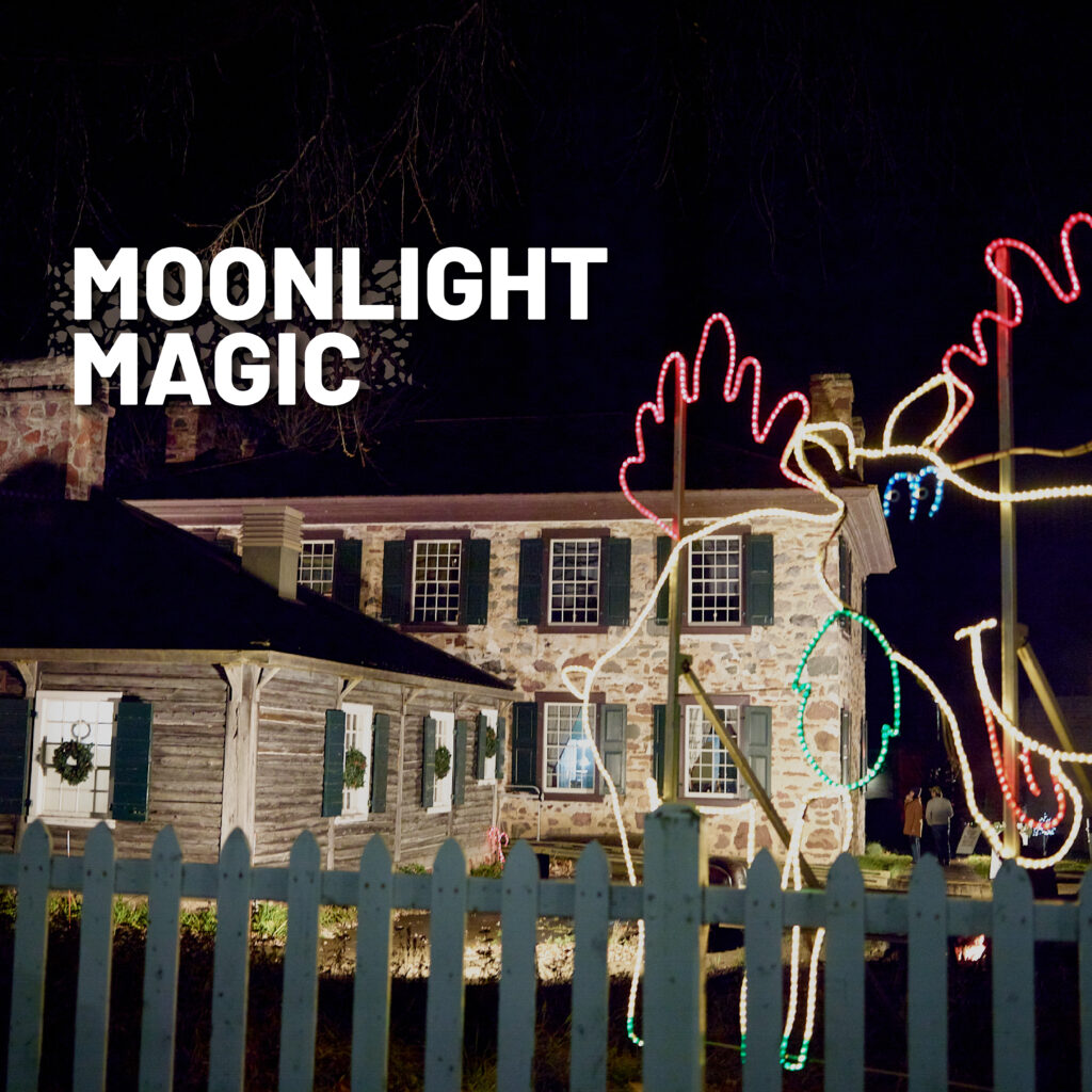 Moonlight Magic