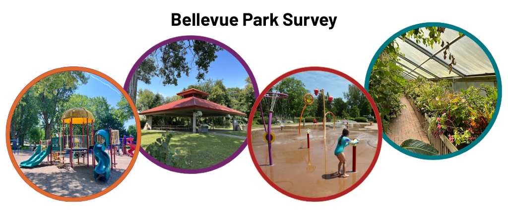 Bellevue Park Survey