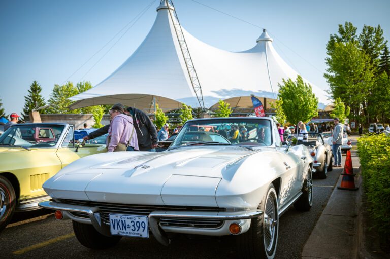 Queen Street Cruise